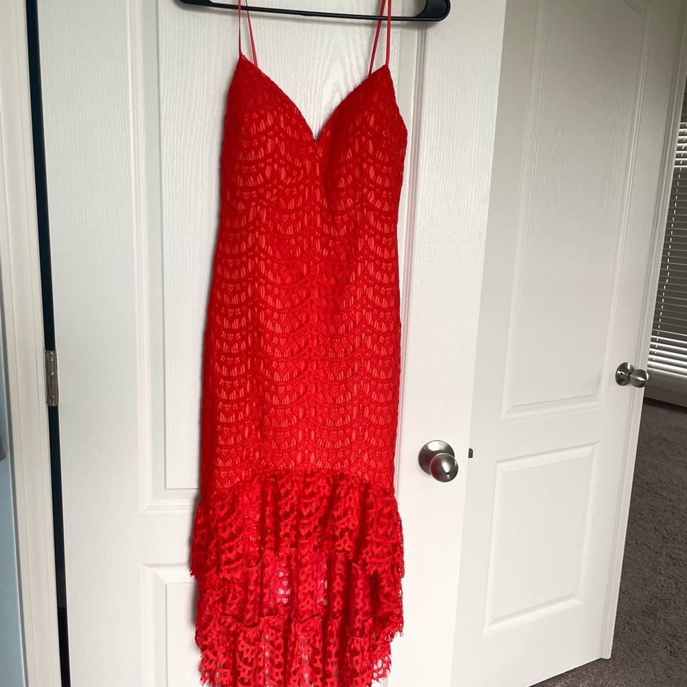 Lace bebe dress